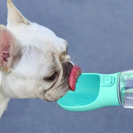 Garrafa de água portátil com tigela para cães